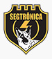 Segtrônica