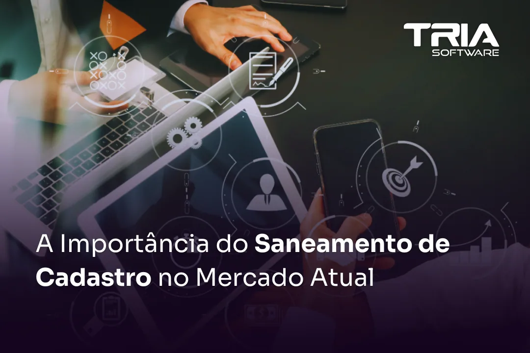 A Importância do Saneamento de Cadastro no Mercado Atual