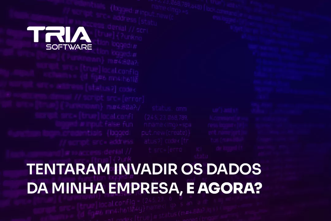 Tentaram invadir os dados da minha empresa, e agora?
