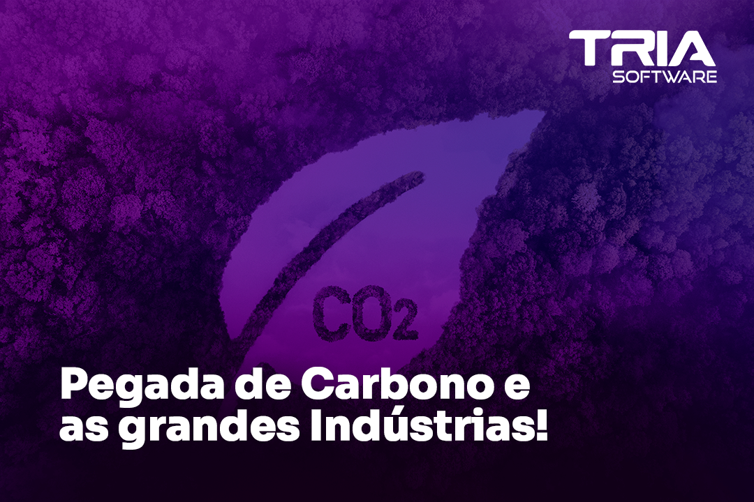 Pegada de Carbono e as grandes Indústrias!